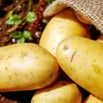 What Is The Healthiest Potato